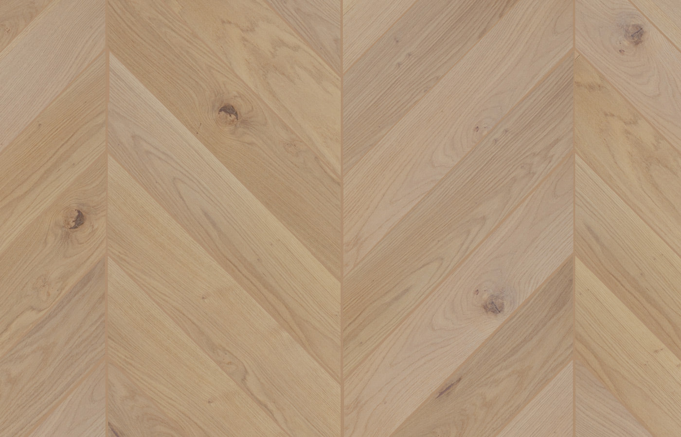 Bowie Oak