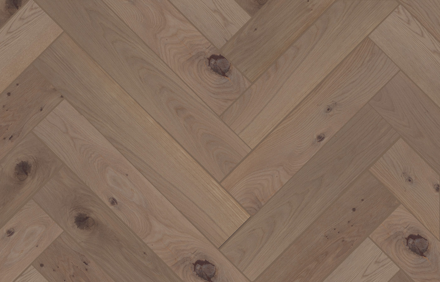 Harlow Oak