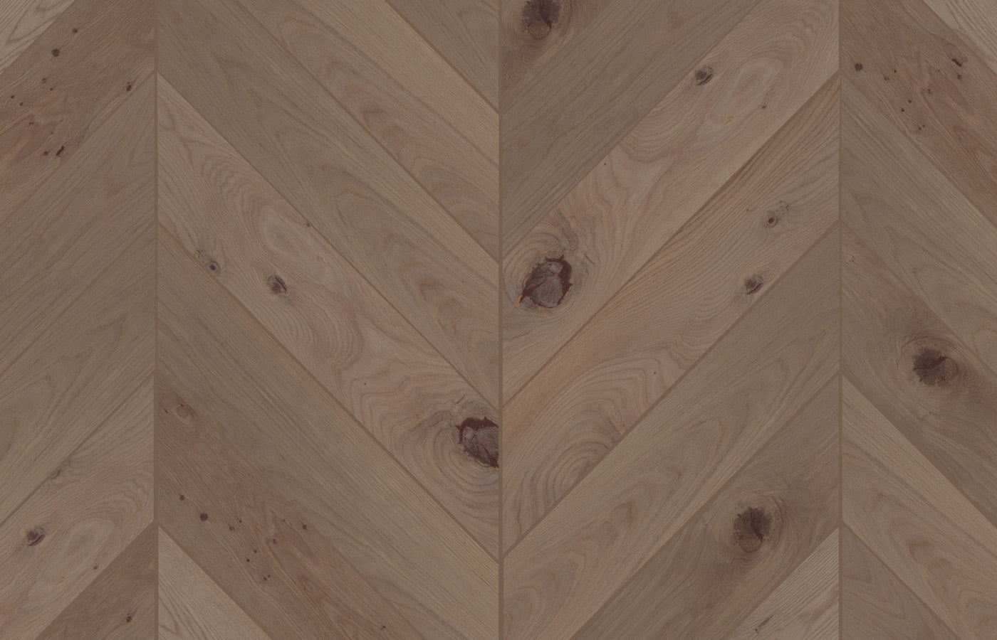Harlow Oak