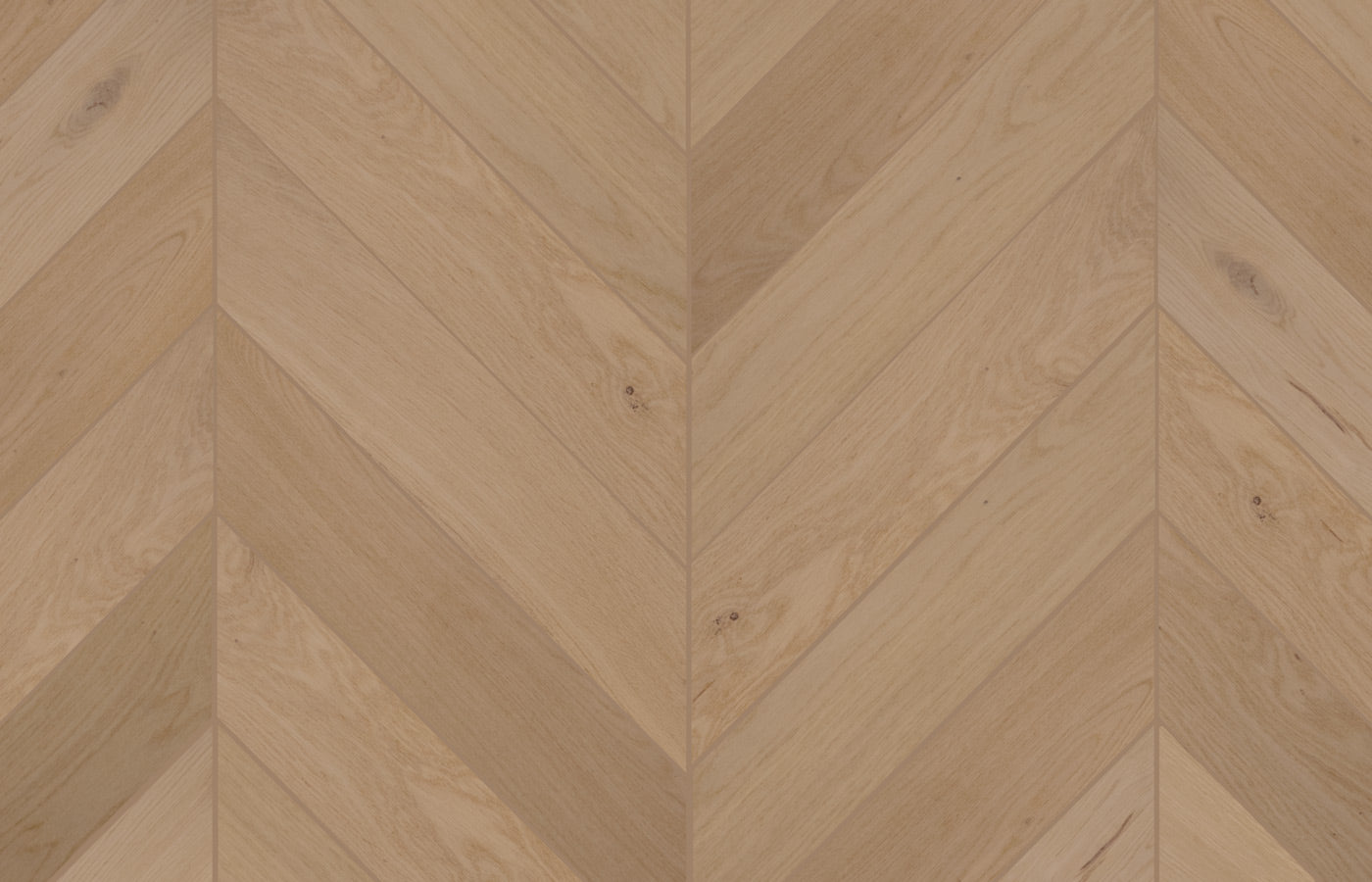 Sand Dollar Oak