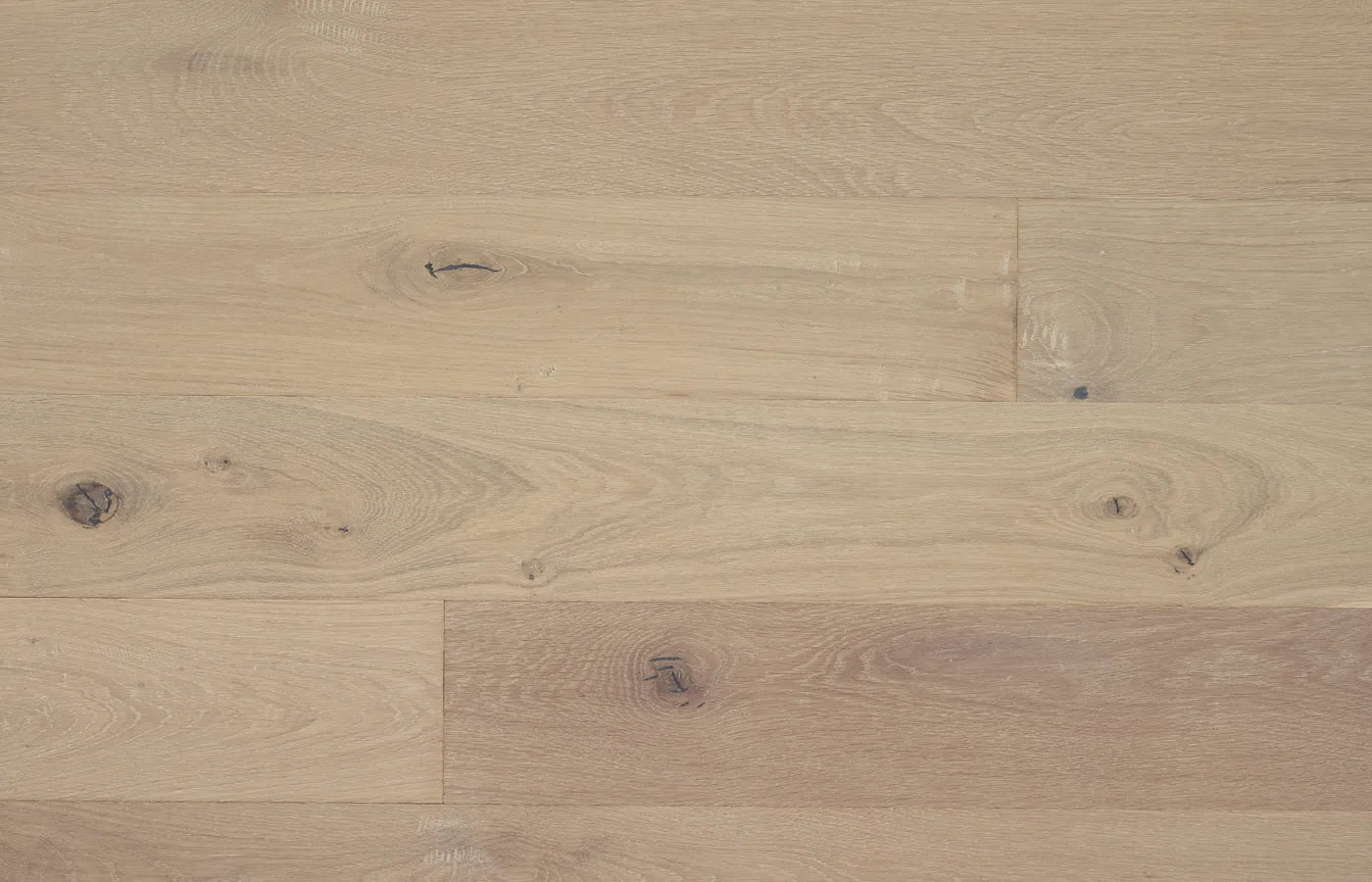 Iceland Oak