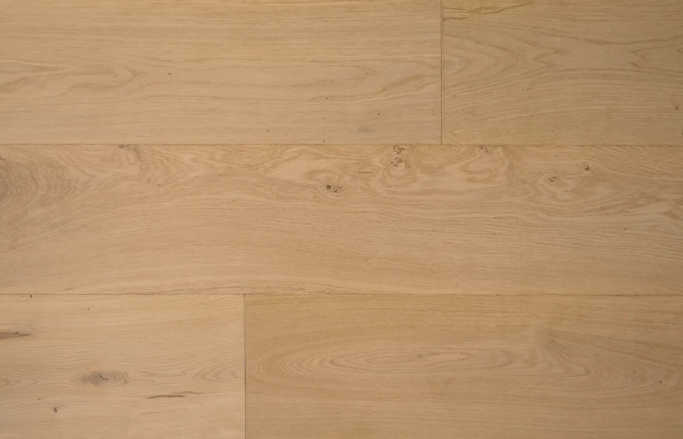 Sand Dollar Oak